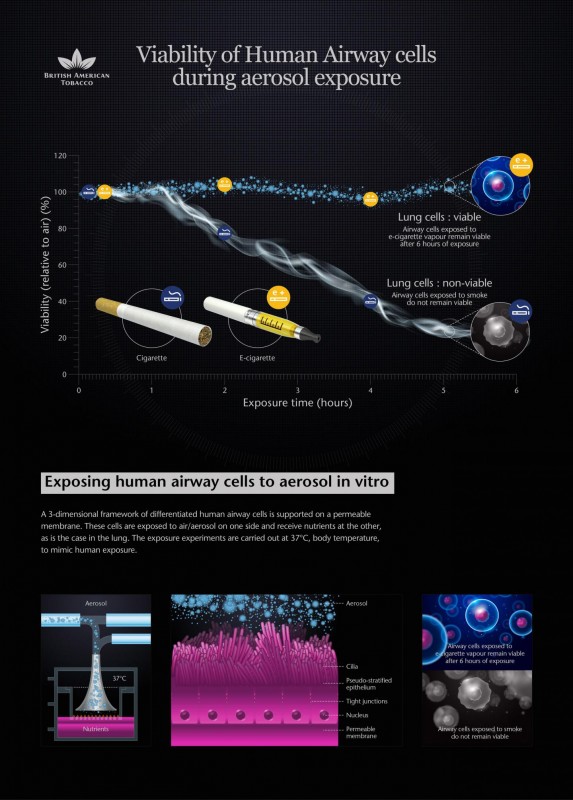 BAT- exposing human airway cells to aerosol in vitro