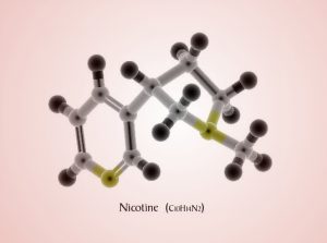 inverted 3d nicotine structure