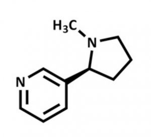 Why-We-Should-Separate-Nicotine-From-Tobacco-Chemical