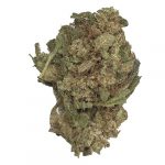 Rise Up Hemp Flower