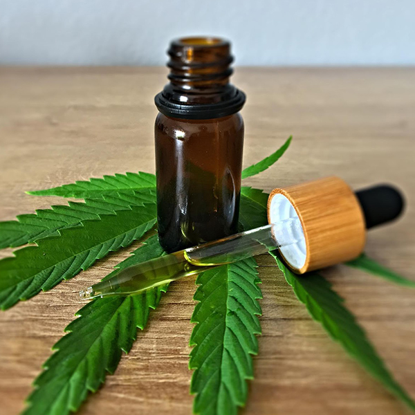 Cannabis Oil