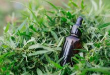 cbd tincture