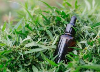 cbd tincture