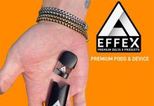 Delta Effex Vape Pod