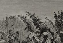 hemp history