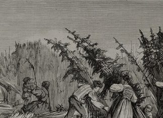 hemp history