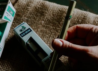 CBDfx Vape Pen