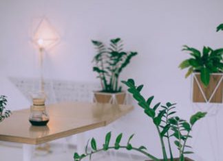 hemp cbd