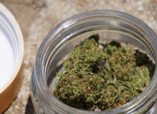 cbd flower