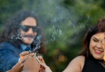 weed friends