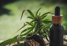 CBD Tincture