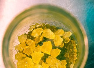 Cannabis Concentrates