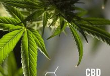 CBD