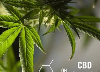 CBD