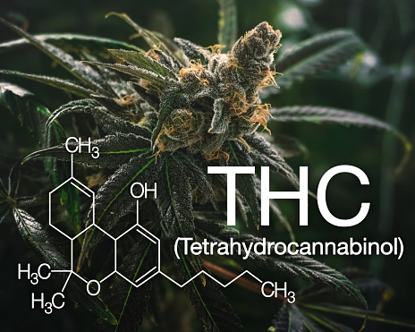 THC