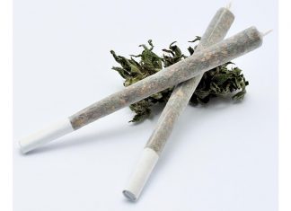 cbd joints