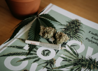 cannabis joint