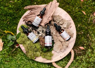 medicine bottles on green and brown moss