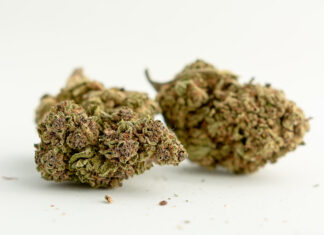 CBD Flower