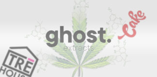 Delta Vape Brands