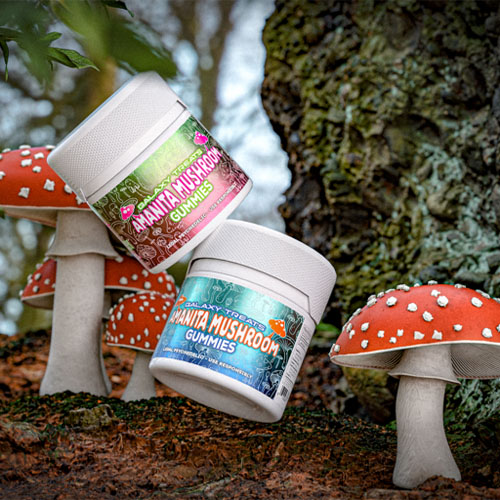 Galaxy Treats Amanita Mushroom Gummies