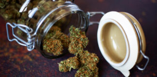 CBD Flower