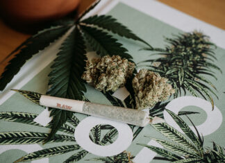 cannabis preroll background