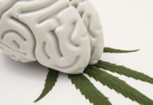 Cannabis and Mental Health