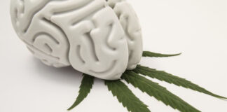 Cannabis and Mental Health