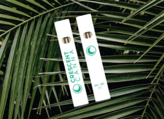 Crescent Canna HHC Disposable