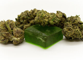 Hemp Gummy