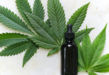 cbd tincture hemp