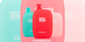 Flum Pebble Disposable Vape Review