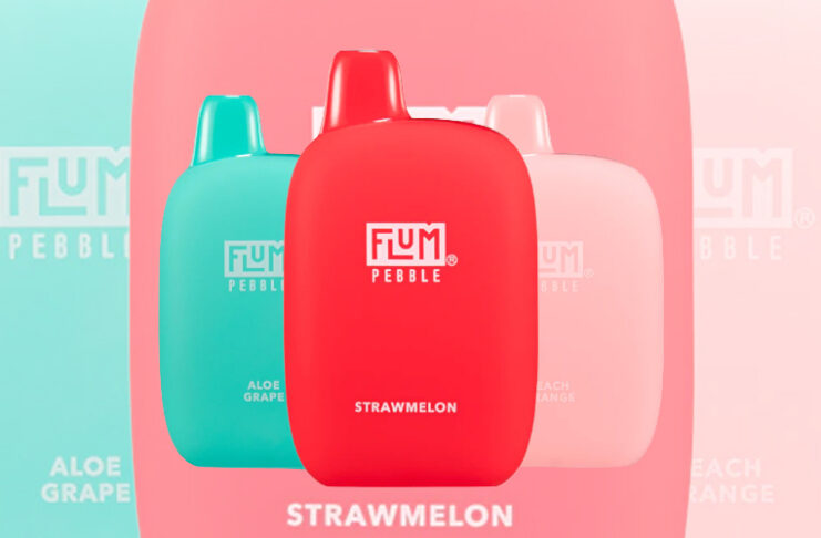 Flum Pebble Disposable Vape Review