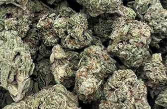 Gorilla Glue #4 THCA Flower