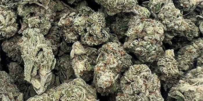 Gorilla Glue #4 THCA Flower