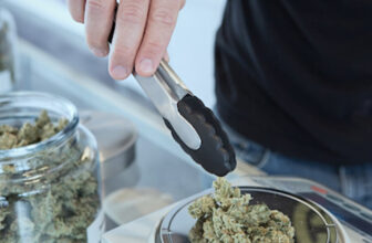 cannabis dispensary