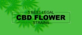 Top 5 Best Legal CBD Flower Strains