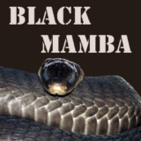 Black Mamba E-Liquid Review