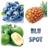 Blu-Spot E-Liquid Review