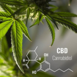3 Popular Benefits Of Using Cannabinoid Products