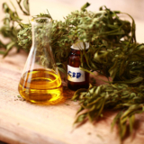 CBD as Stress Buster: Bring the Calmness Back