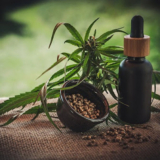 4 Reasons Why People Love Using CBD Products