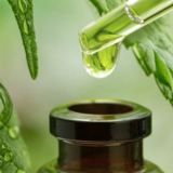 Definitive Guide on How to Purchase Quality CBD Products
