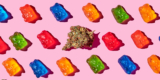 A Quick Guide To Cannabis Edibles