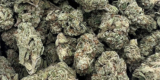 Top 5 THC-A Flower Strains