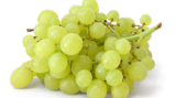 PG Grape