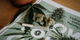 Explore The Benefits of Cannabis With This Useful Guide