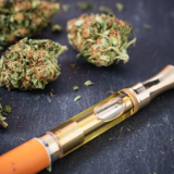 4 Rookie Mistakes that Every First-time Cannabis Buyer Must Avoid