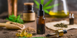 The Rise of CBD: What You Should Know About CBD Next Day Delivery